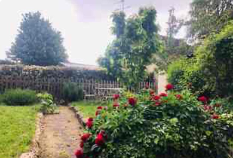 L'ormerie *